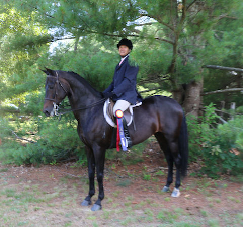 NSHA Horse Show - July - won Championship 